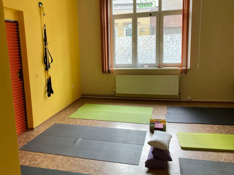 Cvičebna od okna: podložky, polštáře a bloky na podlaze, na stěně závěsný posilovací systém.